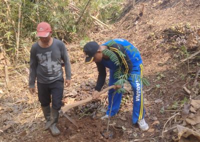 Penanaman pohon duren,Pete dan jahe merah desa panimbang