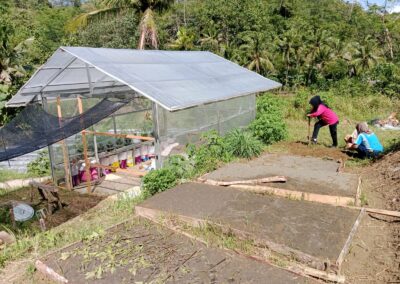 KWT Mekar Desa Panimbang Ubah Kibodang Cikadu Jadi Kebun Sayur Produktif